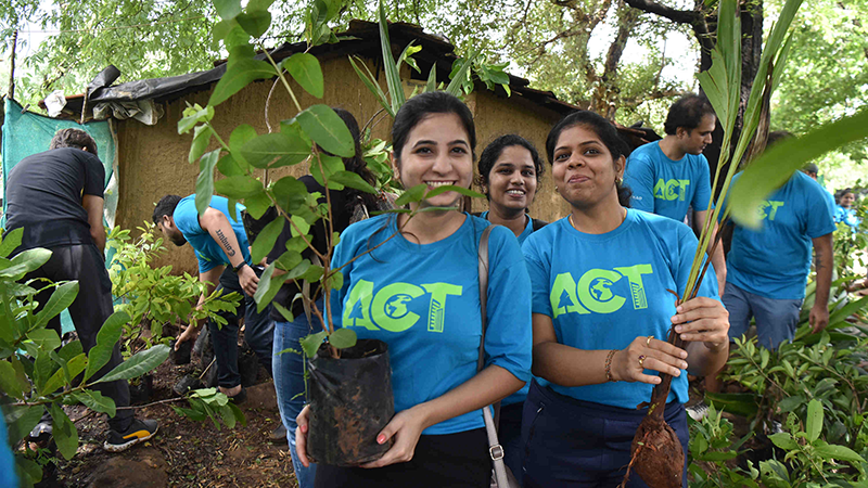 Colleagues volunteering planting trees