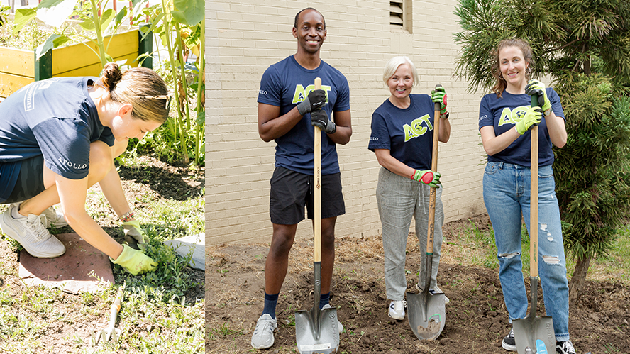 Apollo employees volunteering