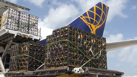 Atlas Air Worldwide: Powering the Global Supply Chain